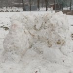 phoca_thumb_m_zajci k a igl 49 Fotogalerie